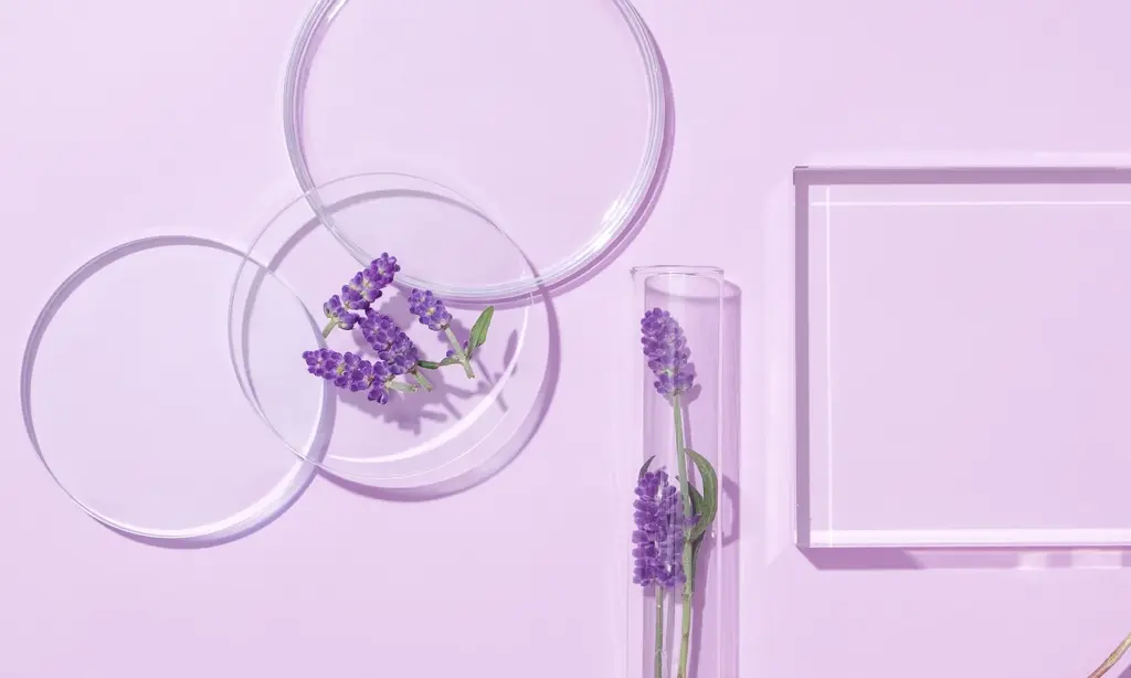 Wissenschaftlich fundierte Therapie
